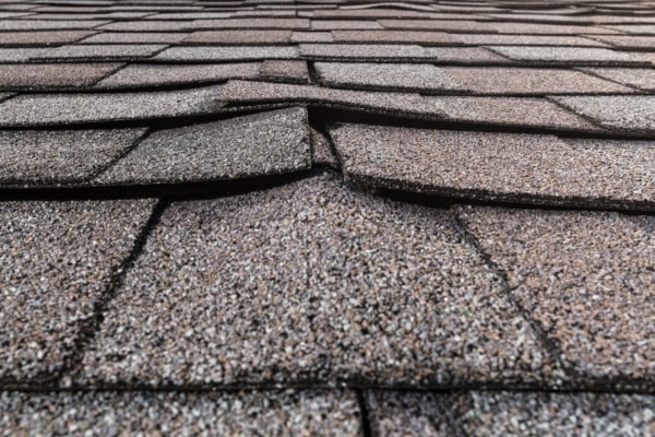 Learn More About Shingle Roof Installation and Replacement